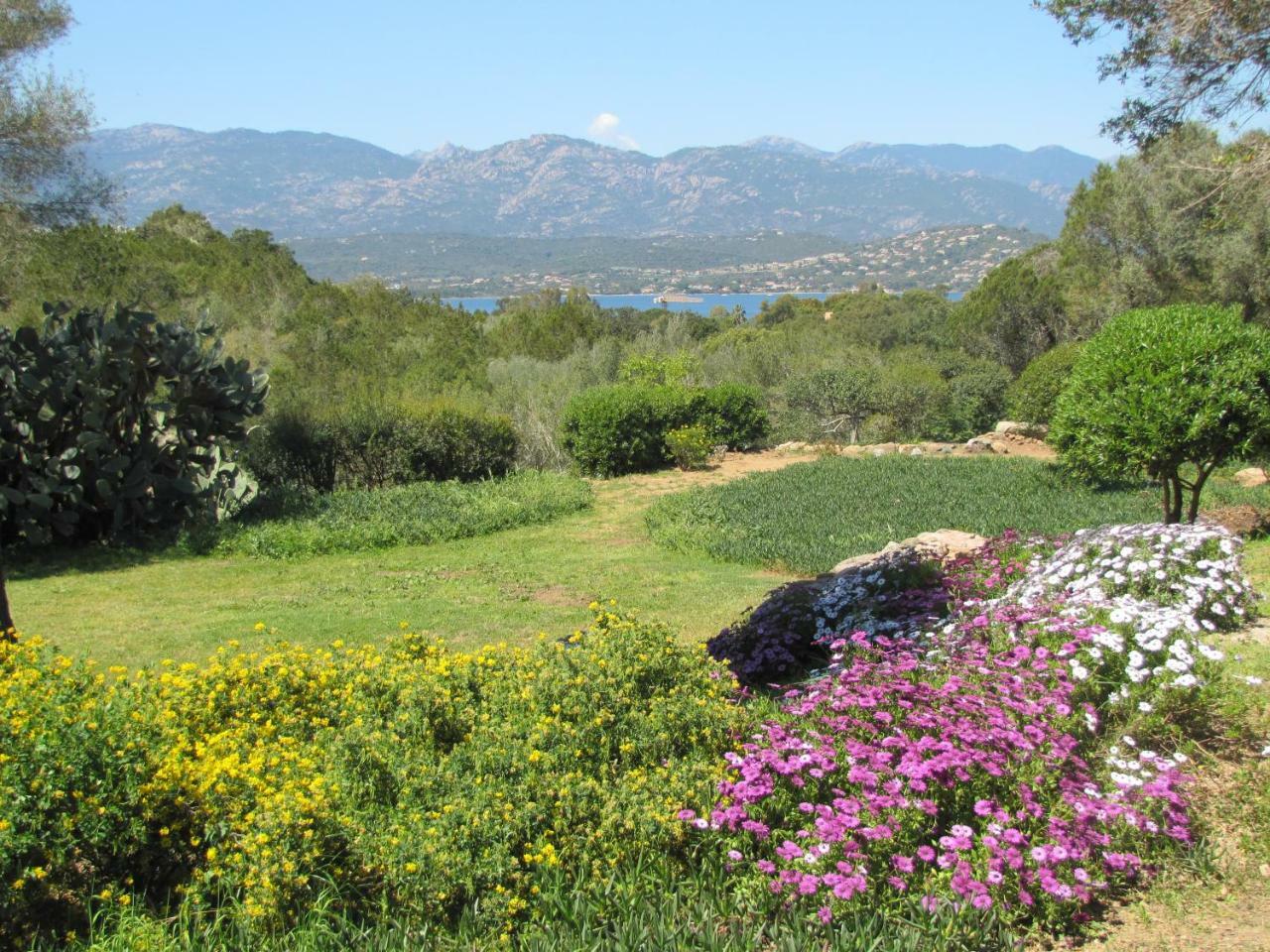 Residence Mari Di Soli Porto-Vecchio  Eksteriør billede